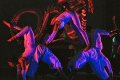 visitor_dragon